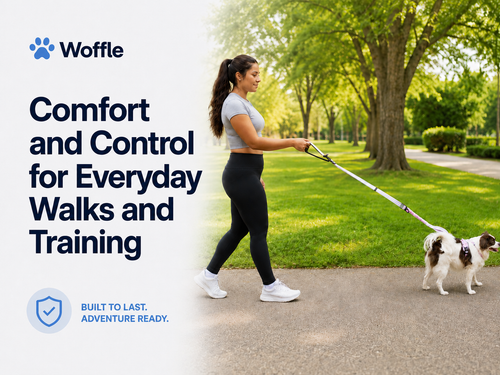 Hands Free Dog Leash with Car Seat Belt Clip for Walking Running and Training
