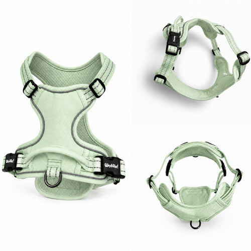 Matcha Latte Green Premium Daily No Pull Harness