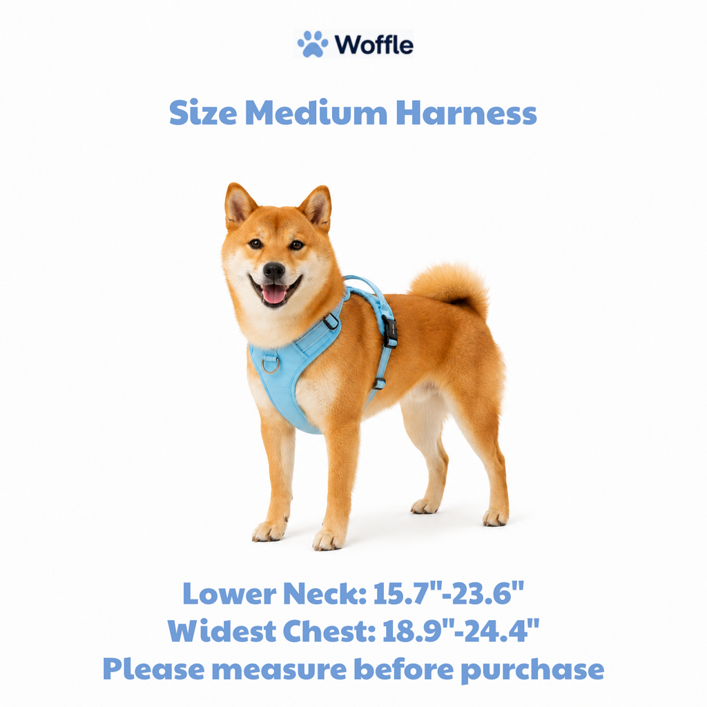 Woffle No Pull Dog Harness for Outdoor Training Walking