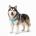Woffle No Pull Dog Harness for Outdoor Training Walking