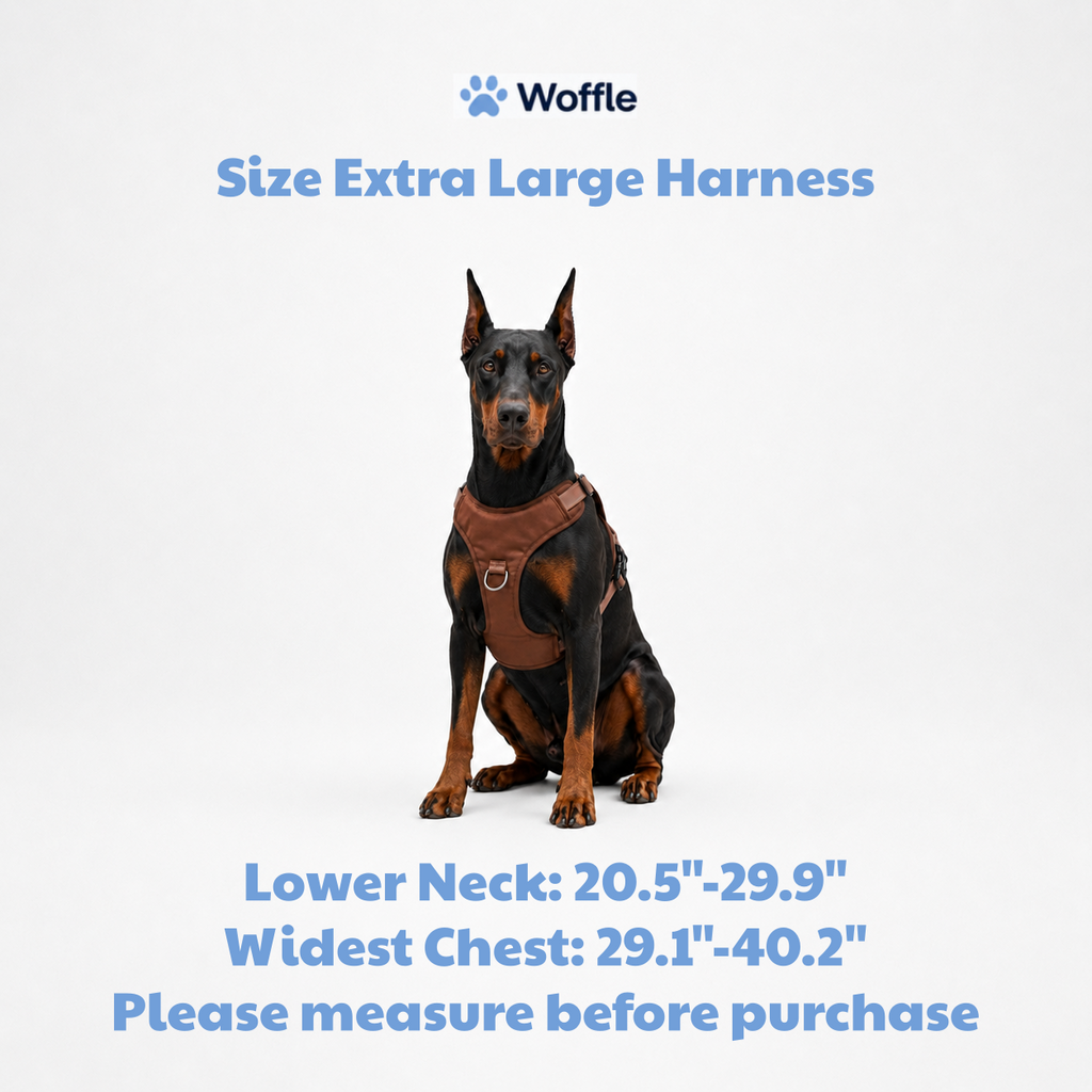 Woffle No Pull Dog Harness for Outdoor Training Walking